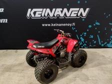Can-Am DS