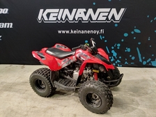Can-Am DS