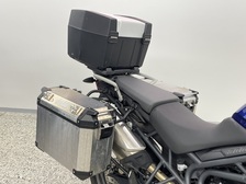 Triumph Tiger