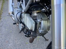 Ducati Monster