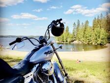 Harley-Davidson Dyna