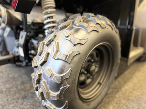 Trapper 450L T3b EPS Guardian