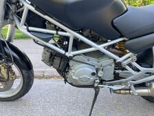 Ducati Monster