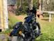 Harley-Davidson Softail