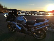 Suzuki SV