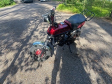 Suzuki PV