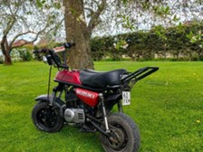 Suzuki PV
