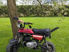 Suzuki PV