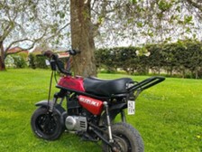 Suzuki PV