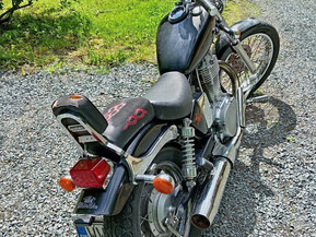 Suzuki LS