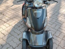 Skand Leijona