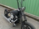 Harley-Davidson Softail