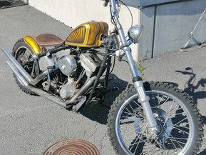 Harley-Davidson Softail