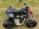 Can-Am DS