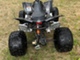 Can-Am DS