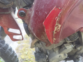 Honda NX