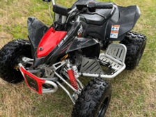 Can-Am DS