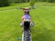 Honda CRF