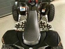 Can-Am DS