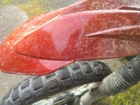 Honda NX