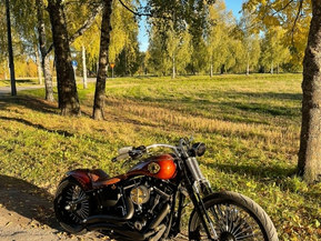 Harley-Davidson Softail