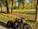 Harley-Davidson Softail