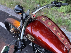 Harley-Davidson Softail