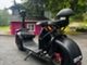 Motokettu Cruiser