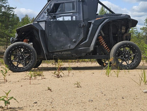 Polaris RZR