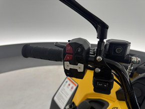 Trapper 450L T3b Guardian