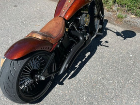 Harley-Davidson Softail