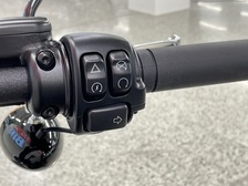 Harley-Davidson Softail