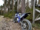 Rieju MRX