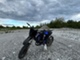Rieju MRX