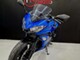 Kawasaki Ninja