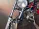 Solifer SM