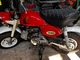 Honda Monkey