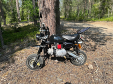 Honda Monkey