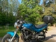 Suzuki GS