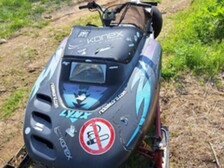 Lynx Cobra