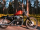 Harley-Davidson Sportster