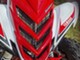 Yamaha Raptor