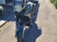 Honda XL