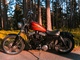Harley-Davidson Sportster