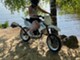 Yamaha DT