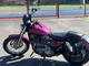 Harley-Davidson Sportster
