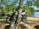 Yamaha DT