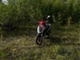 Yiying MTX