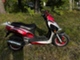 Yiying MTX