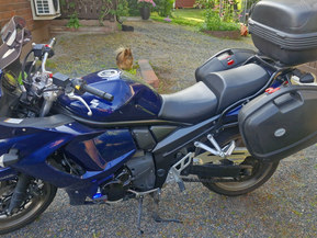 Suzuki GSX
